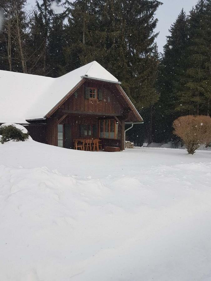 Ferienhaus Kreiner Villa Sankt Kathrein am Offenegg Exterior photo